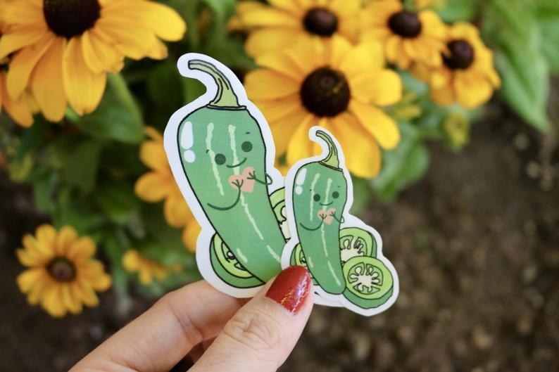 Model&#x27;s hand holding stickers of cute green anthropomorphic jalapenos