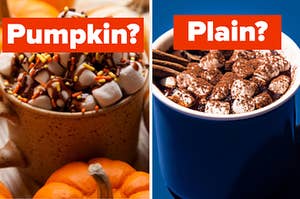 A cup of hot chocolate is on the left labeled, "Pumpkin?" on the left and labeled, "Plain?" on the right