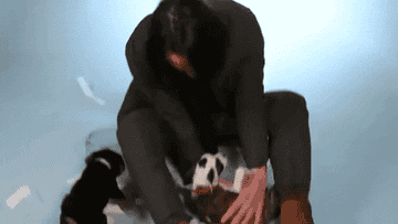 Keanu Reeves picks up a puppy