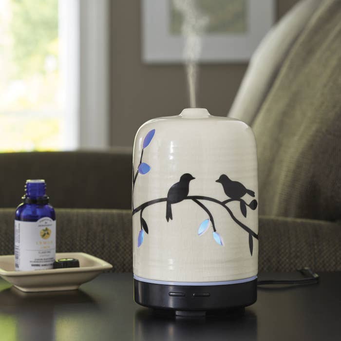The oil diffuser