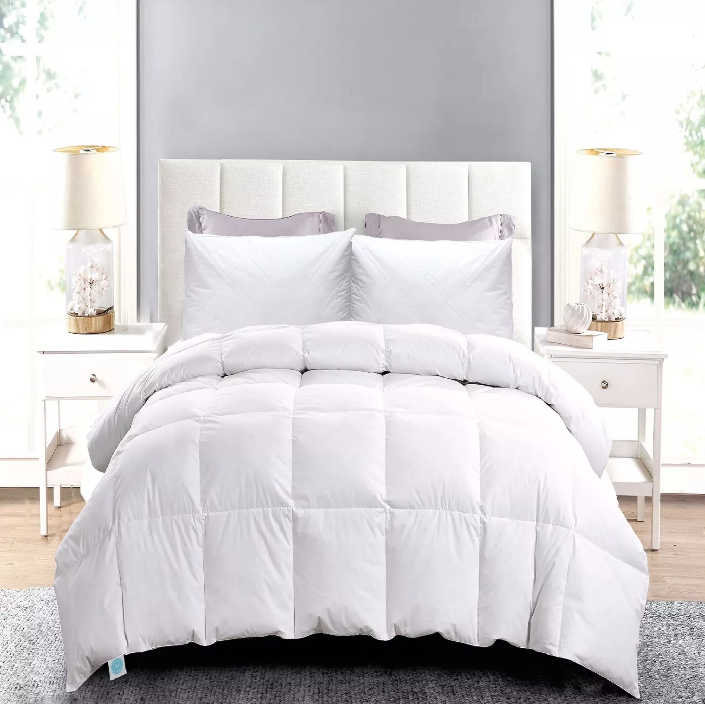 The down comforter and pillow set in twin size