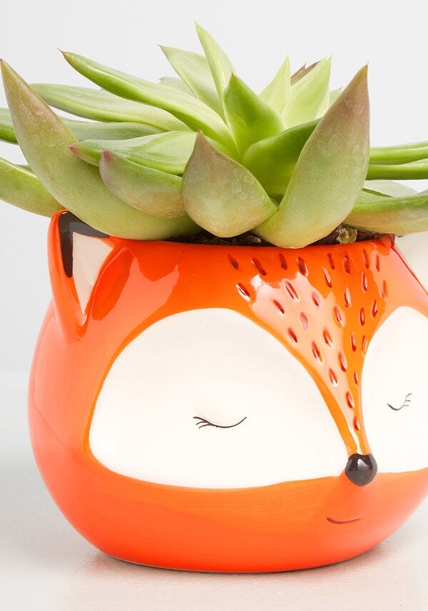 An orange planter with the face of a fox designed on it, including the ears, and a succulent coming out of the top