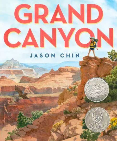 Book cover of illustrated scene at the Grand Canyon with a hiker on a cliff 