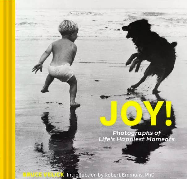 Book cover with little child and dog playing on beach 