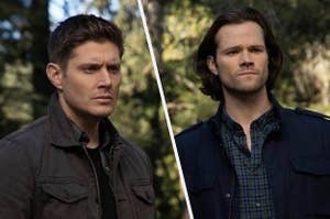 Dean and Sam Winchester from Supernatural