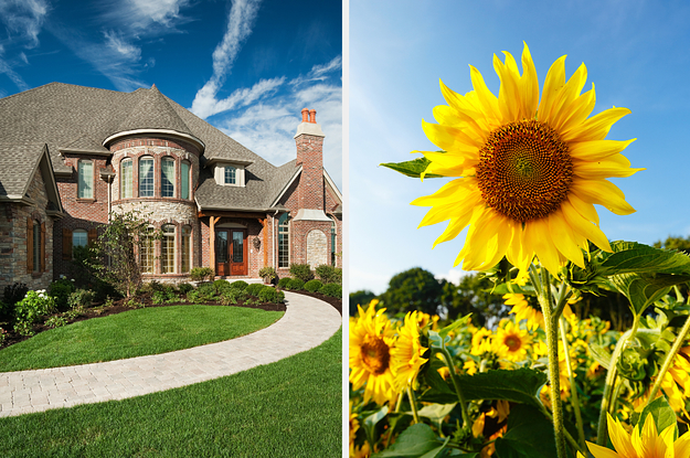 Ever Wondered Which Flower Matches Your Vibe? Design Your Dream Home And We'll Tell You