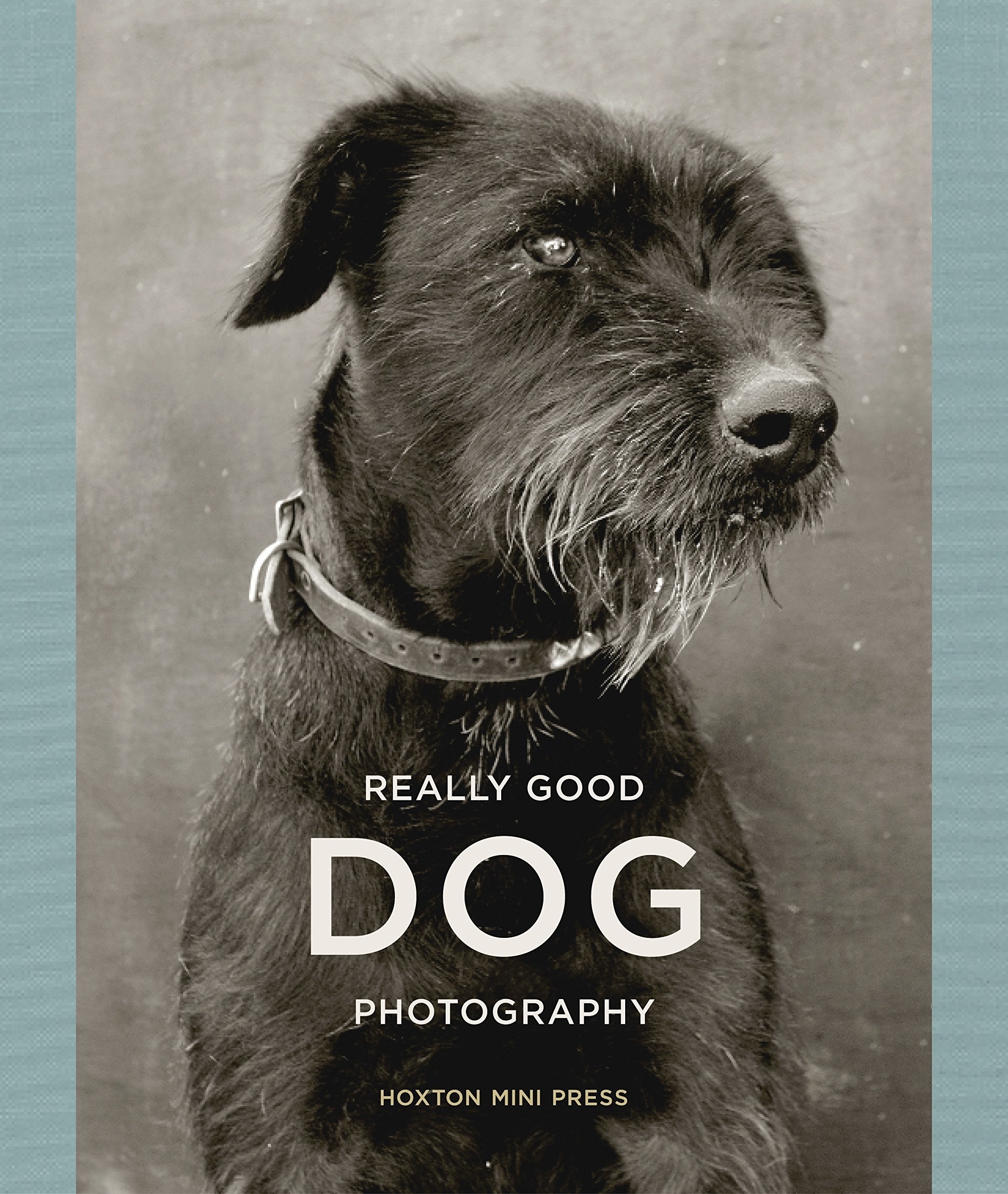 Black and white image of scruffy dog on book cover