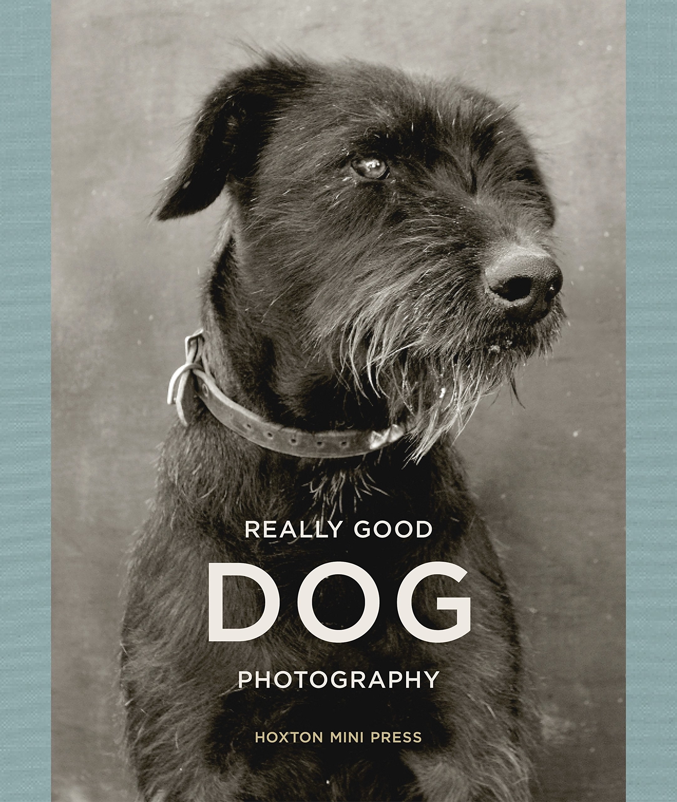 Black and white image of scruffy dog on book cover 