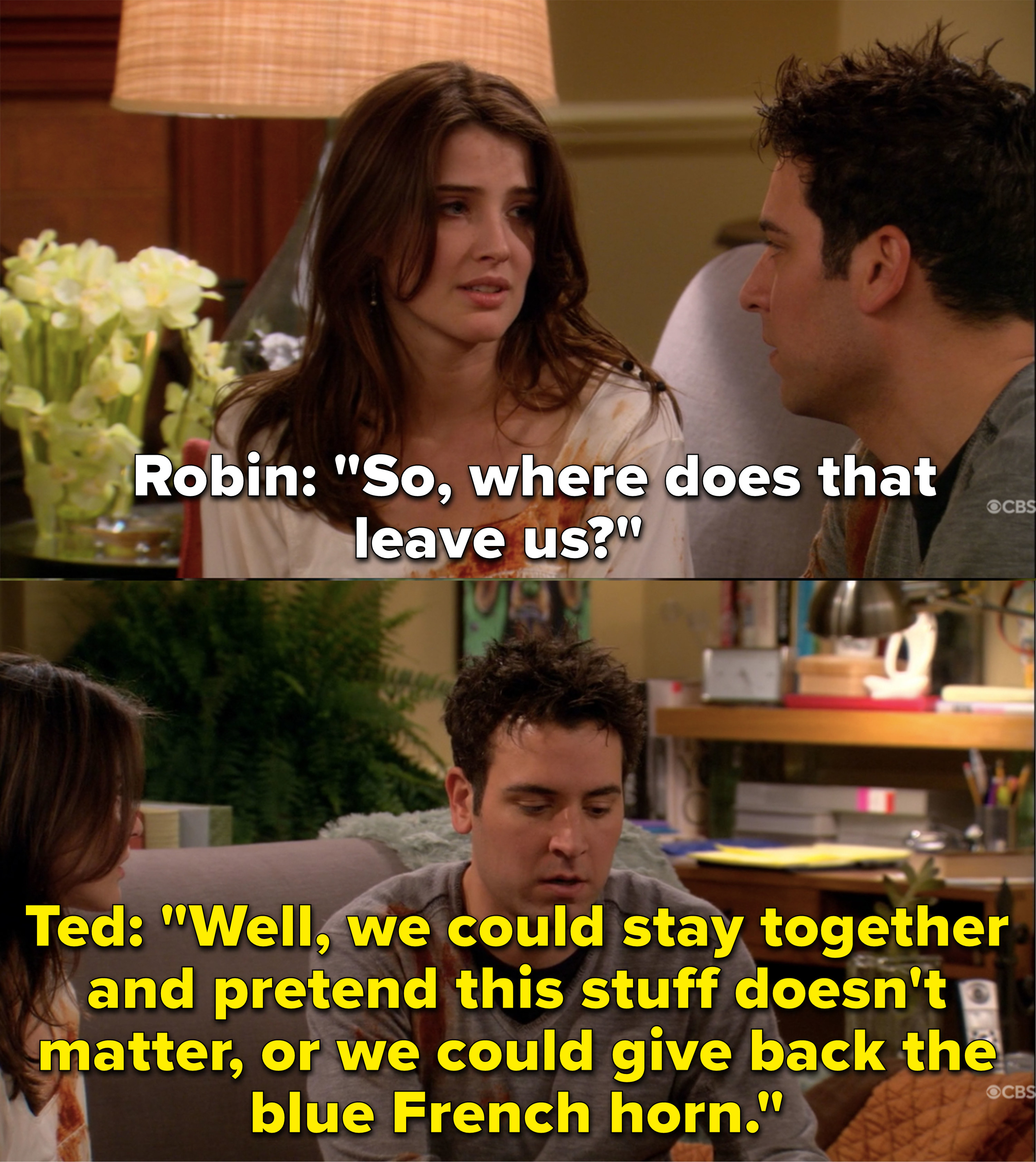 Robin asks where they stand and Ted says they can either stay together and pretend their differences don&#x27;t matter or give back the blue French horn