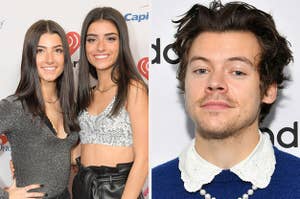 harry styles and the d'amelio sisters