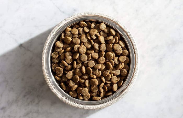 The dry dog food
