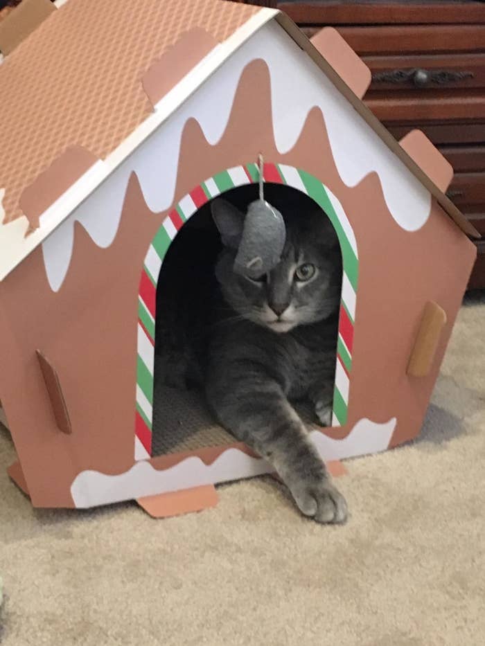 The cat house, which has a rounded doorway opening with a mouse toy dangling from the arch