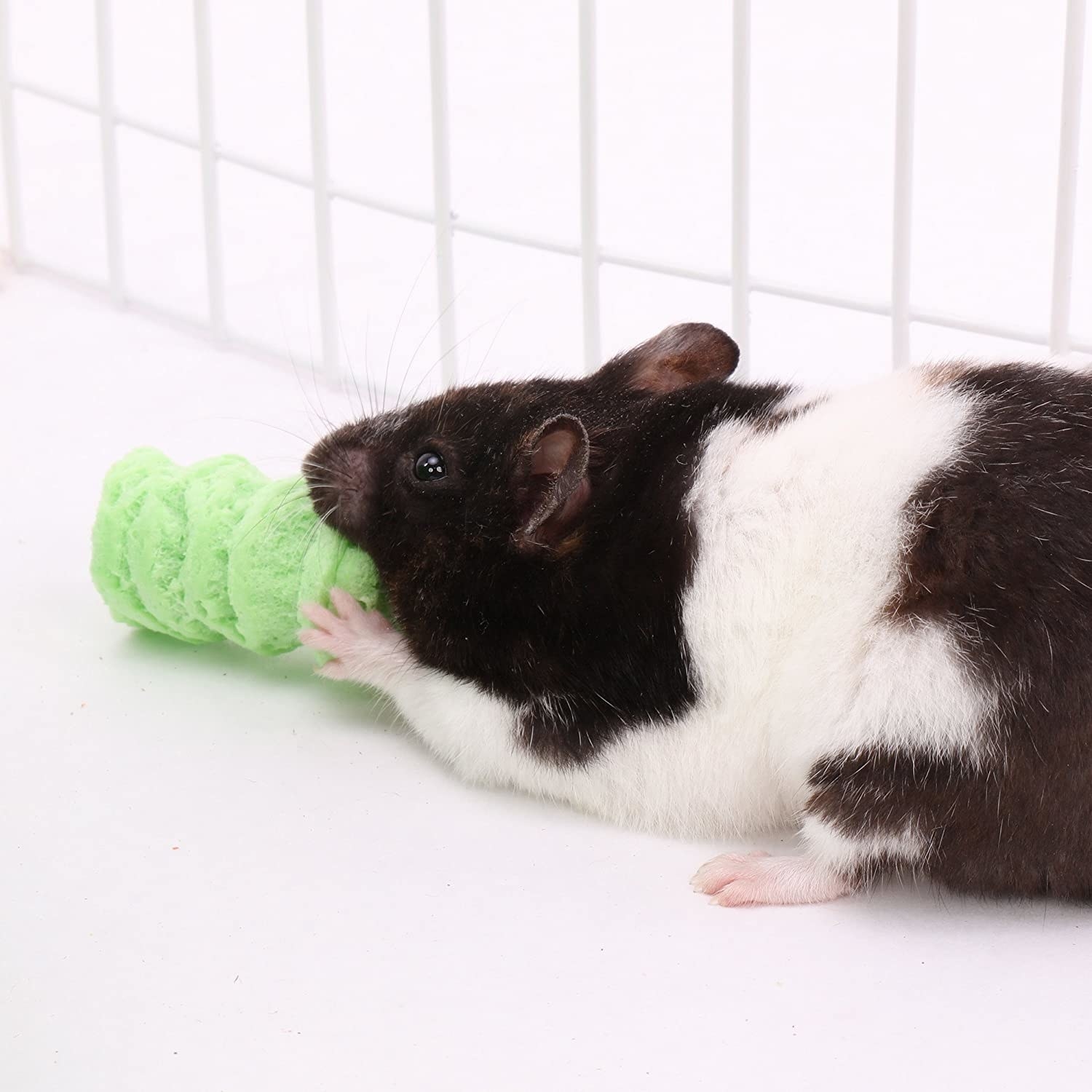 Black and white rat eating a green puff that looks like a styrofoam packing peanut