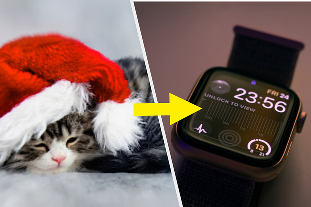 Pick Some Cute Cat Photos And We'll Reveal What You're Getting For Christmas