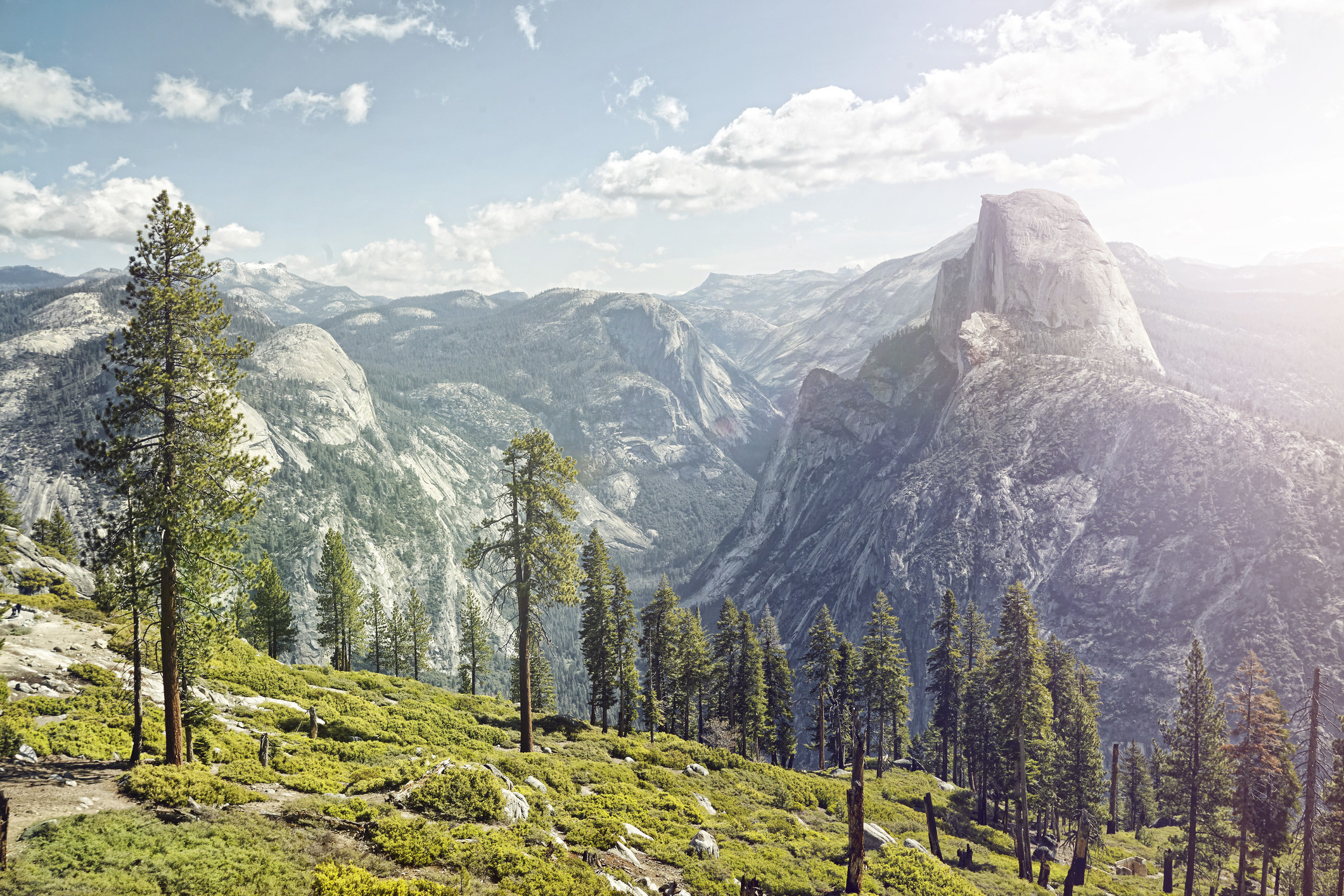 Mountain, tree, and rock landscape. 