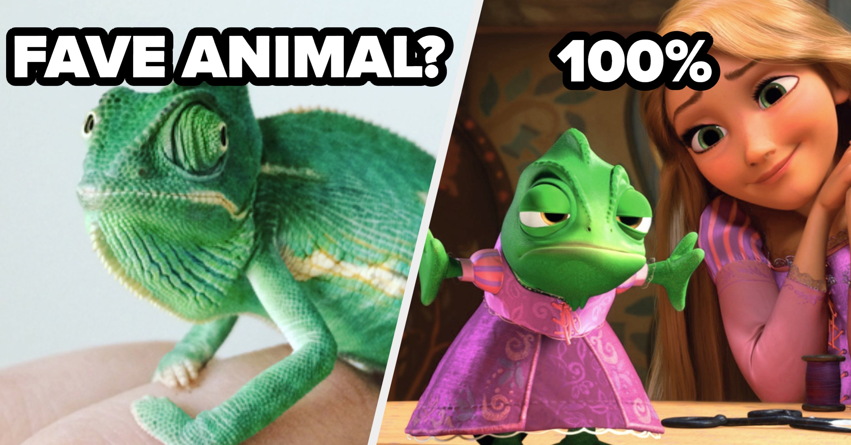 What % Rapunzel Are You?