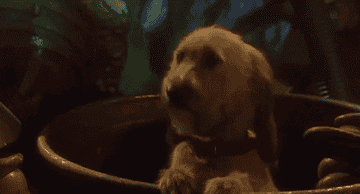 Gif of Max the dog nodding his head in The Grinch
