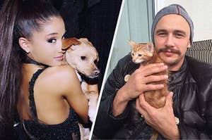 Ariana Grande being a dog and James Franco being a cat