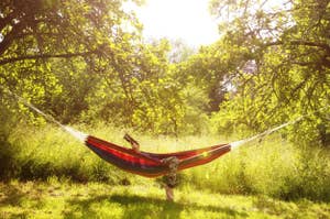 person in a hammock in the woods