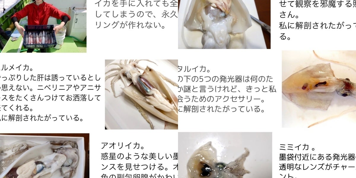 私に解剖されたがっている 常軌を逸したイカ愛が鬼バズりしてしまう