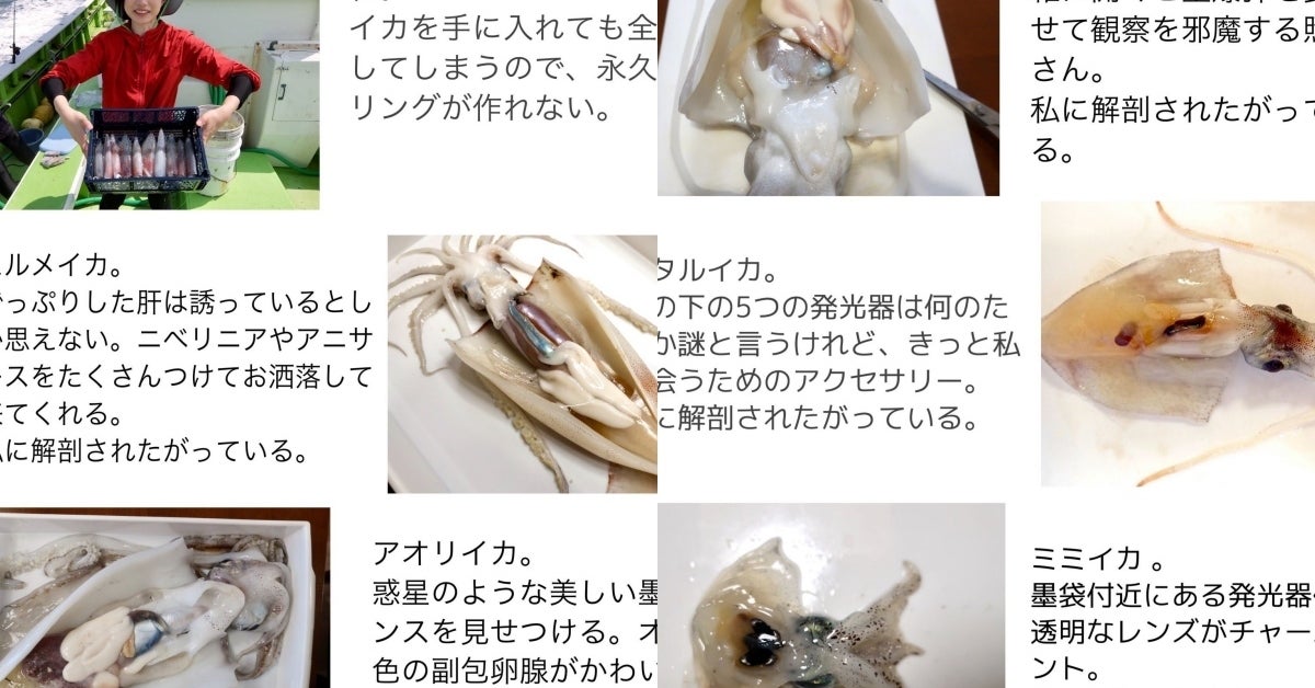 私に解剖されたがっている 常軌を逸したイカ愛が鬼バズりしてしまう