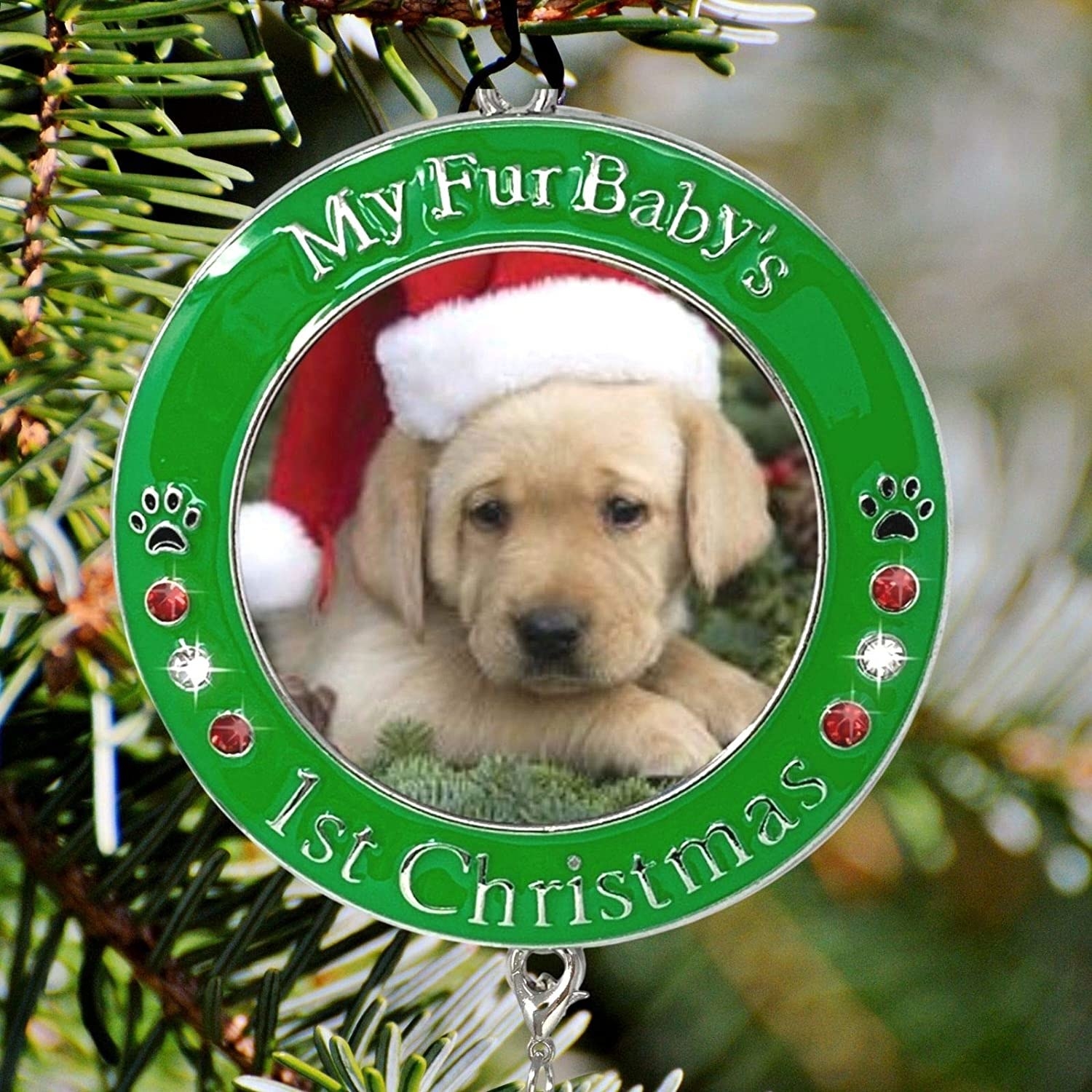 The ornament, which is circular, with space in the middle for a small photo of your pet, and a lacquered rim that says &quot;My Furbaby&#x27;s 1st Christmas&quot;