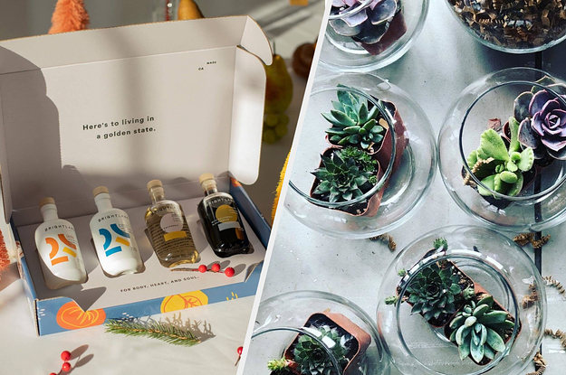 The Brightland mini essentials kit and a terrarium kit