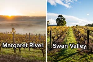 Side by side image showing two different wine vineyards, one labelled "Margaret River", the other "Swan Valley"