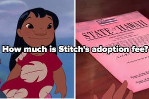 how much is stitch's adoption fee?