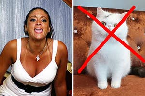 Sammi fron Jersey Shore yelling on the left and a cat on the right with a big red X through it