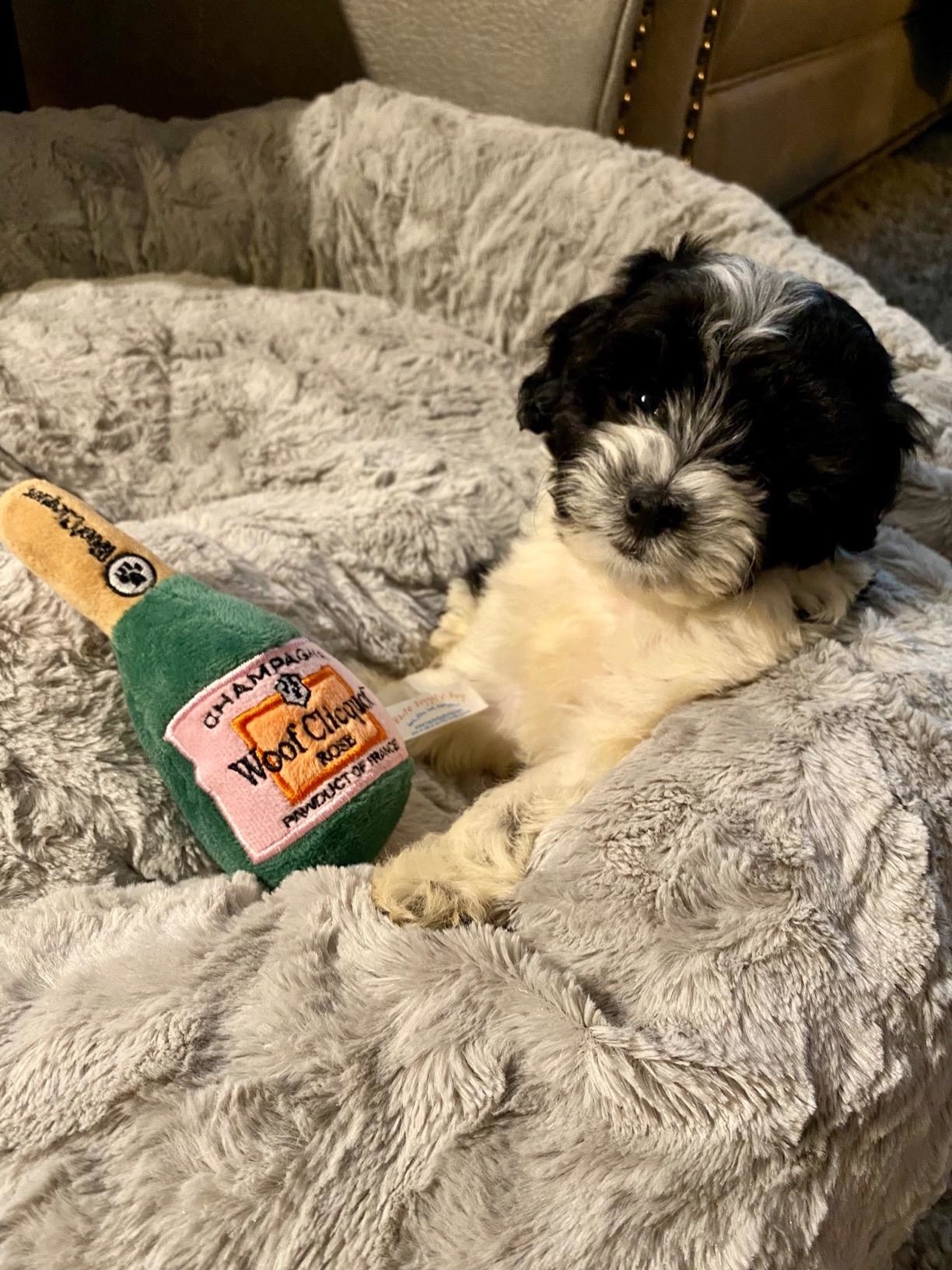 The champagne bottle chew toy, which has a cylindrical body and narrow top