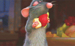 Rat eats cheese and fruit