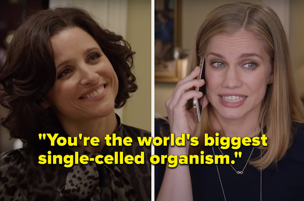 It May Be A Challenge, But Can You Match These “Veep” Quotes To The Characters?