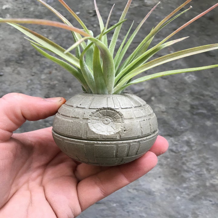 close-up of a person's hand holding the death star planter with a succulent