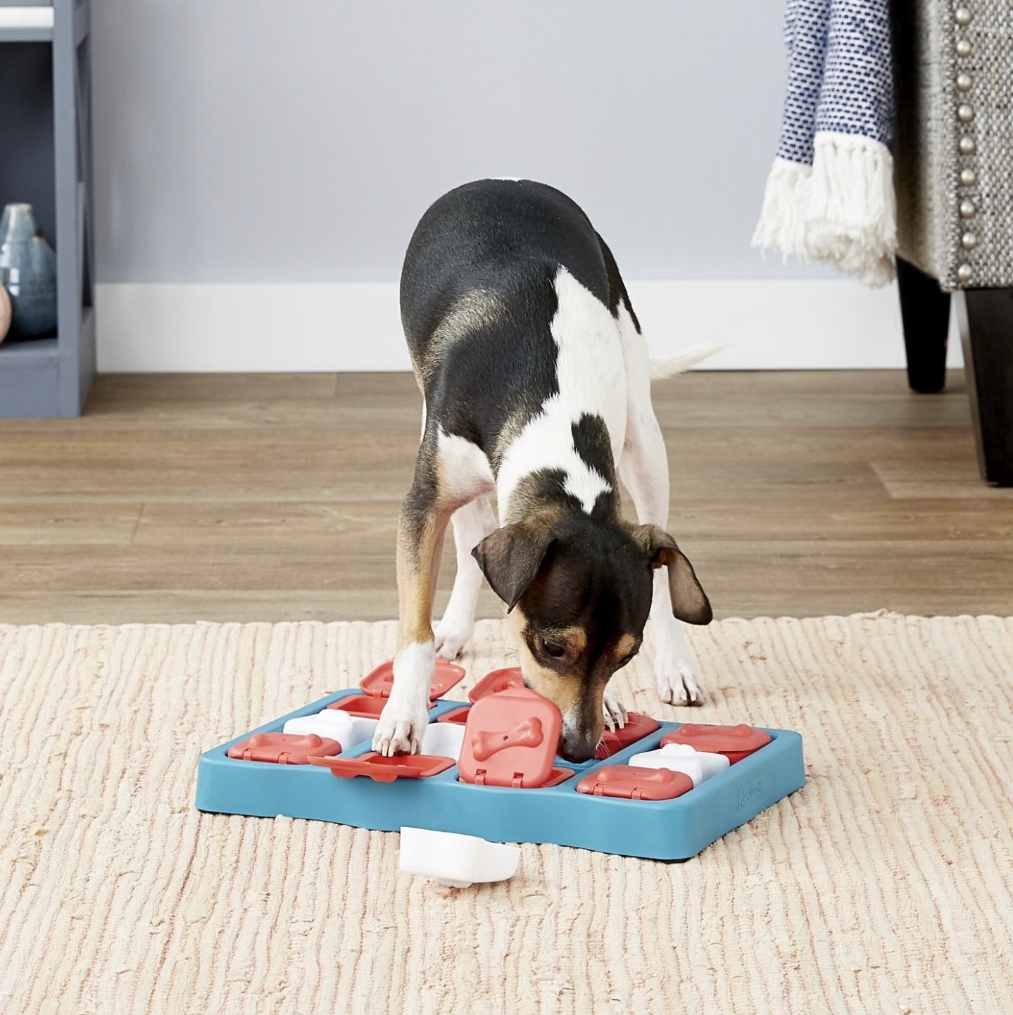 A dog is sniffing for treats in a puzzle game toy