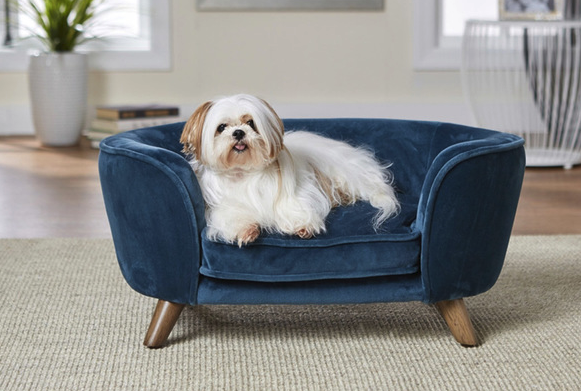 Dog resting on small pet sofa 