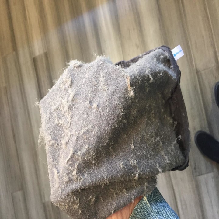 Reviewer holding the filter, which is covered in dust that was pulled from the air