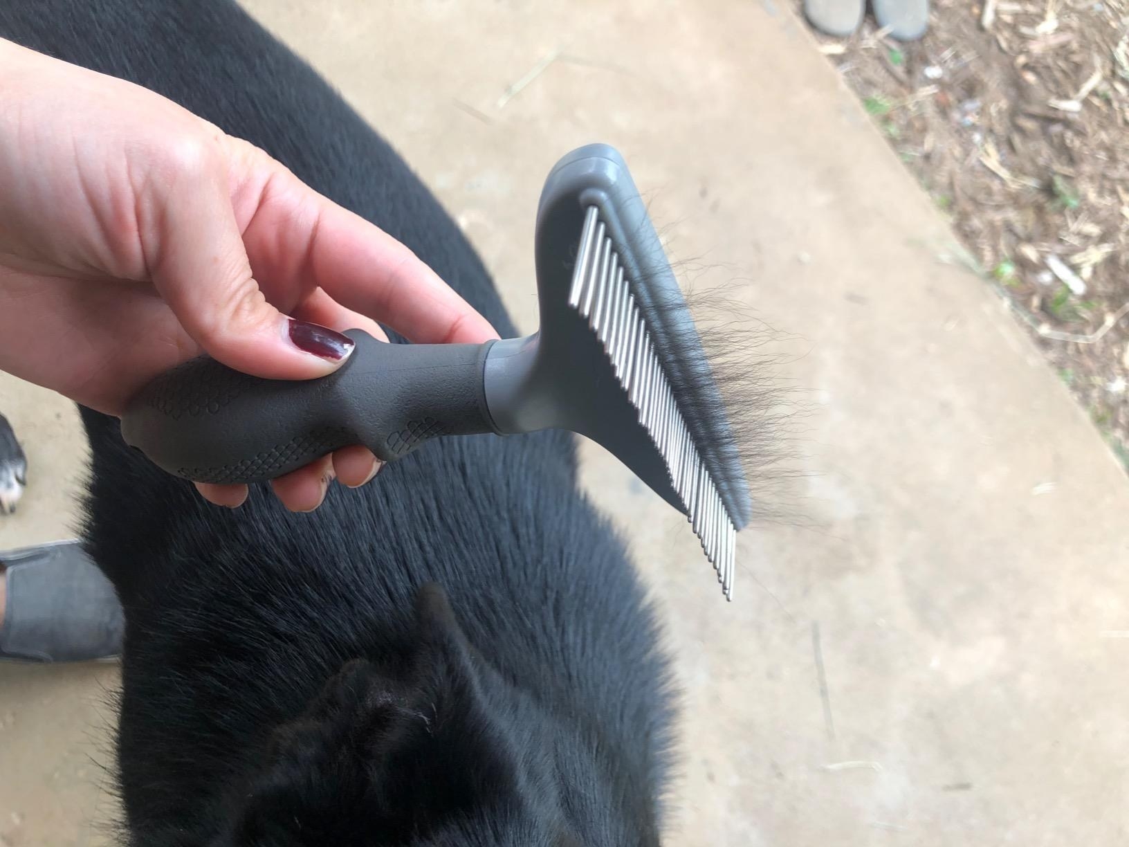 The rake with fur between tines after brushing the cat