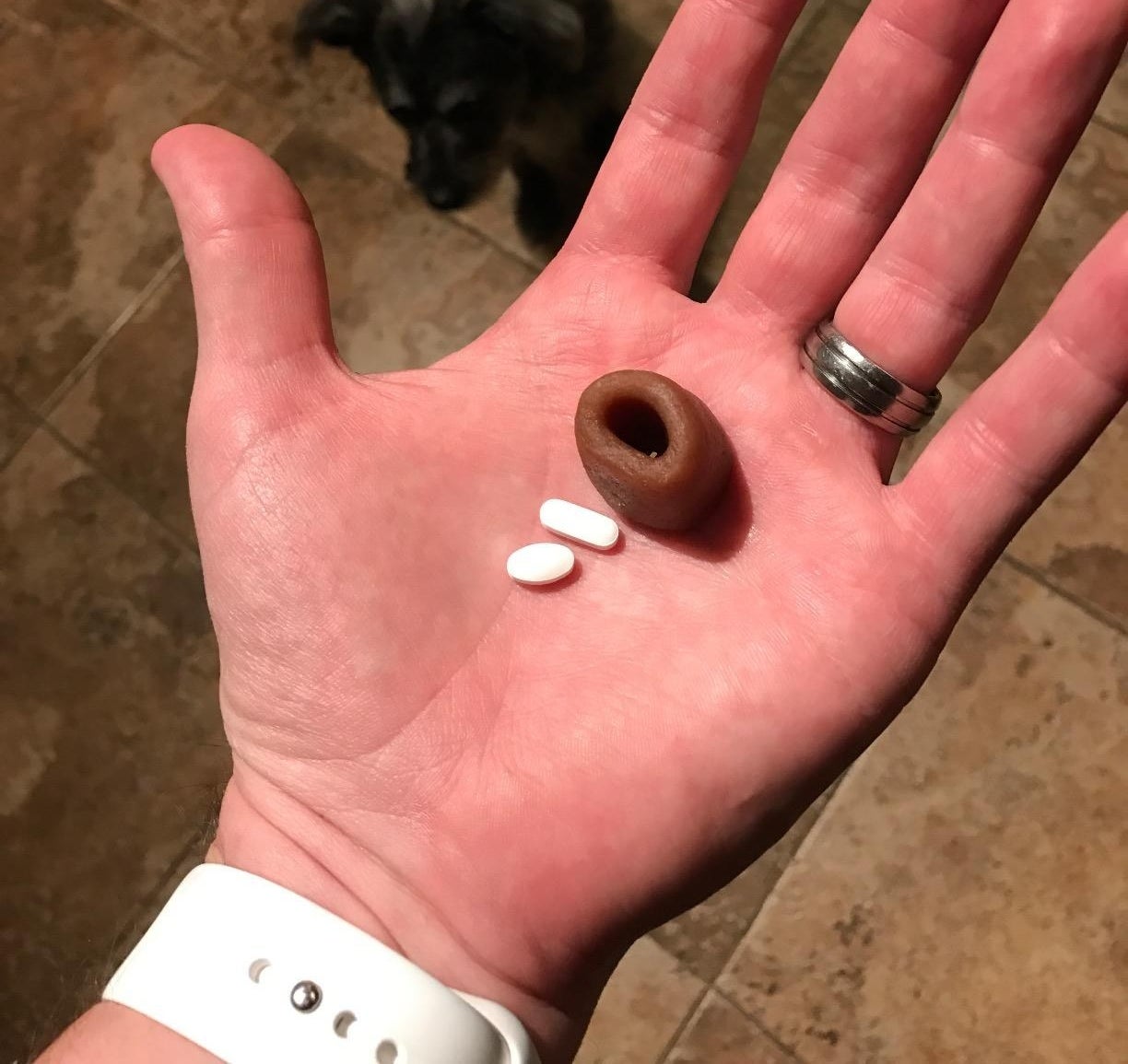 The treat held in an open palm, next to two pills