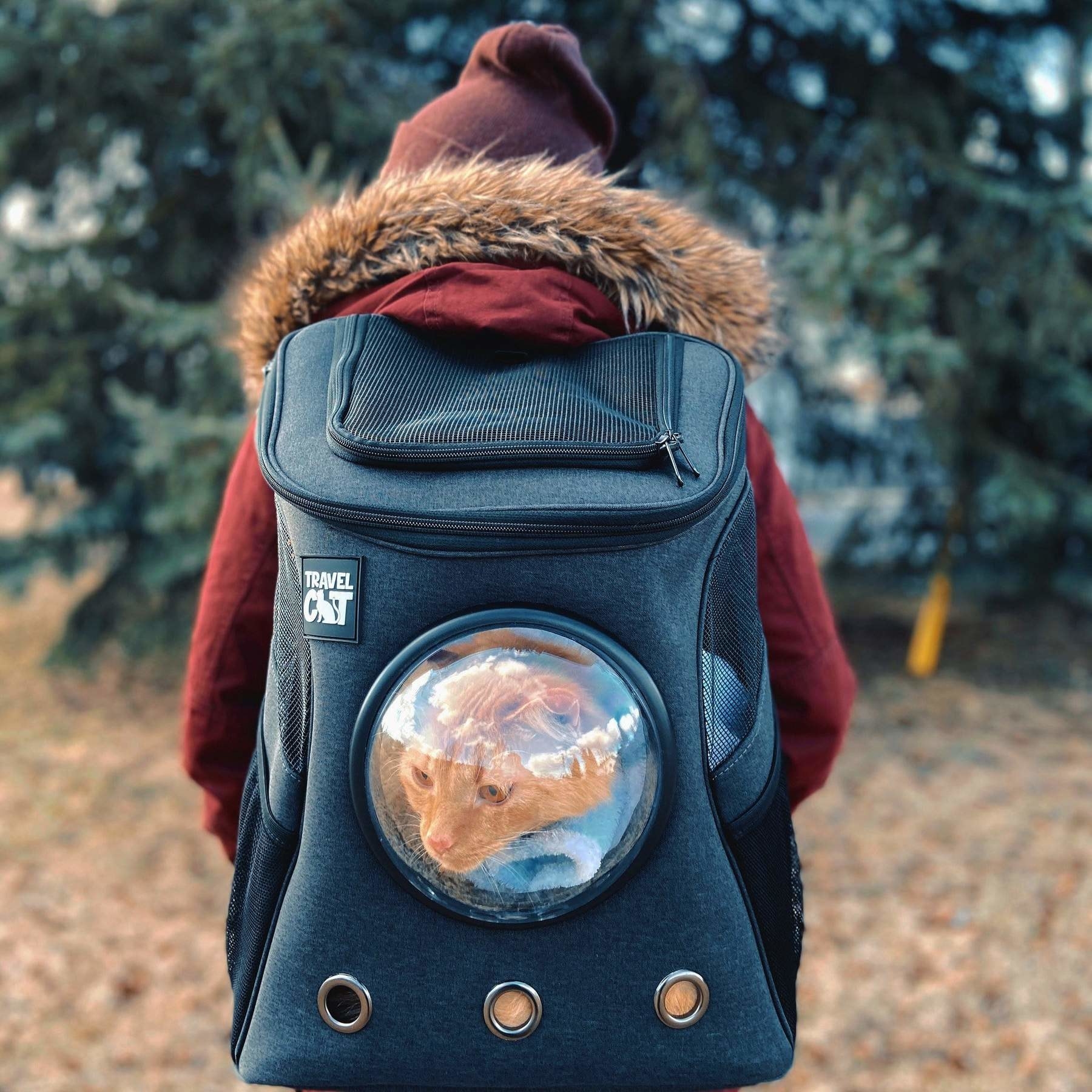 backpack with a clear bowl &quot;window&quot; on it so that the cat can sit inside while peering outside 