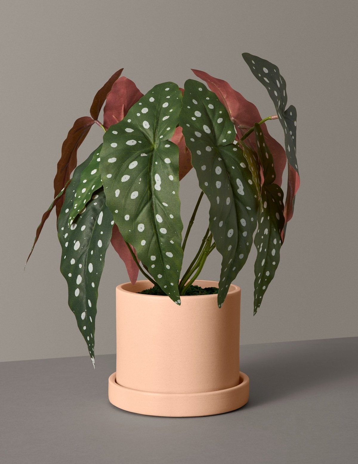 faux plant with spotted leaves in a peach planter. 