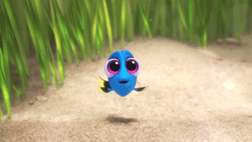 Baby Dory looks excited 