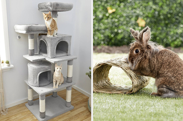 chewy black friday ad