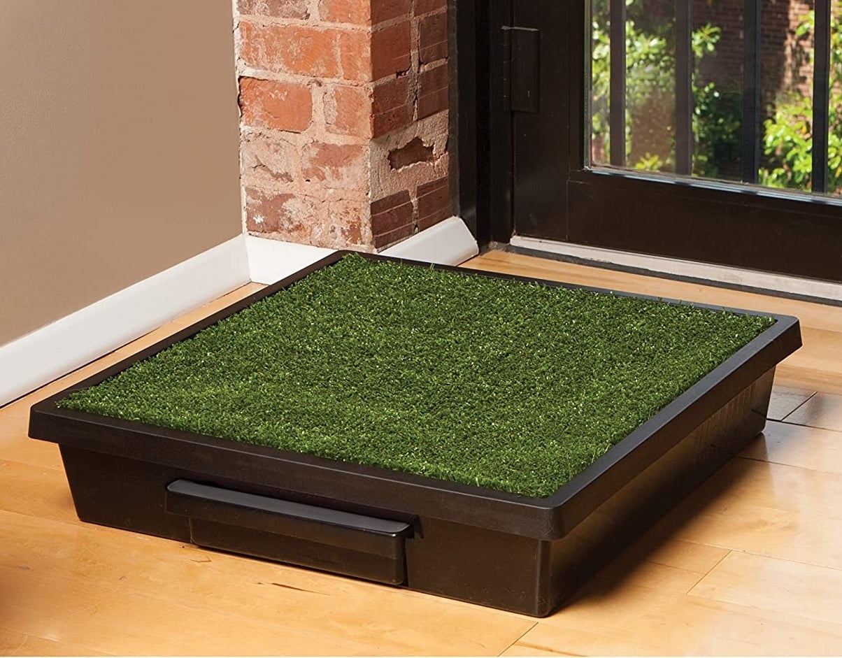The grass pad on a hardwood floor