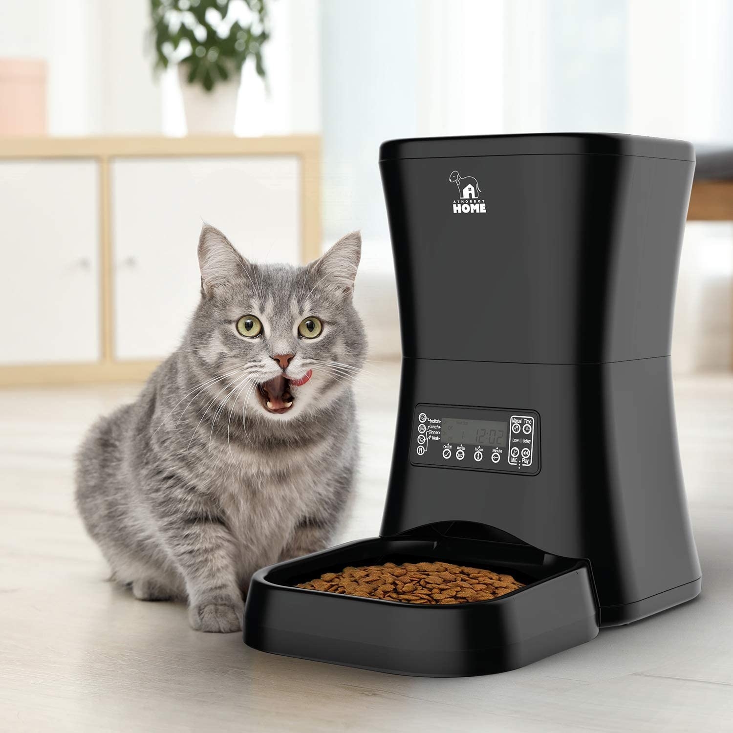 A cat eating from the dispenser