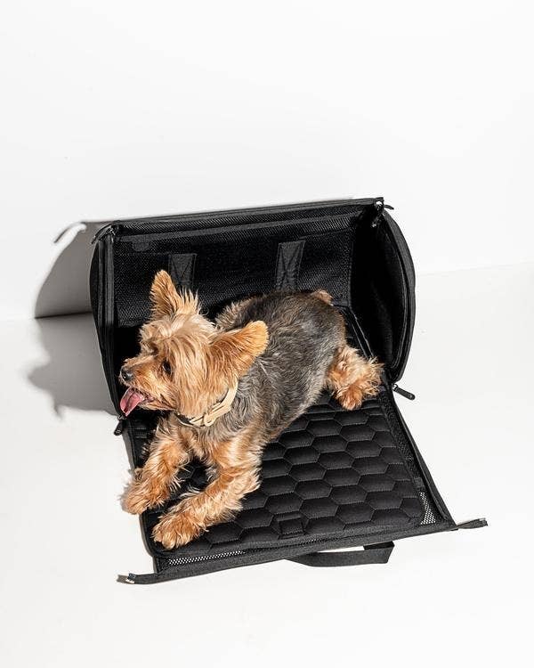 Airline compliant pet carrier in black