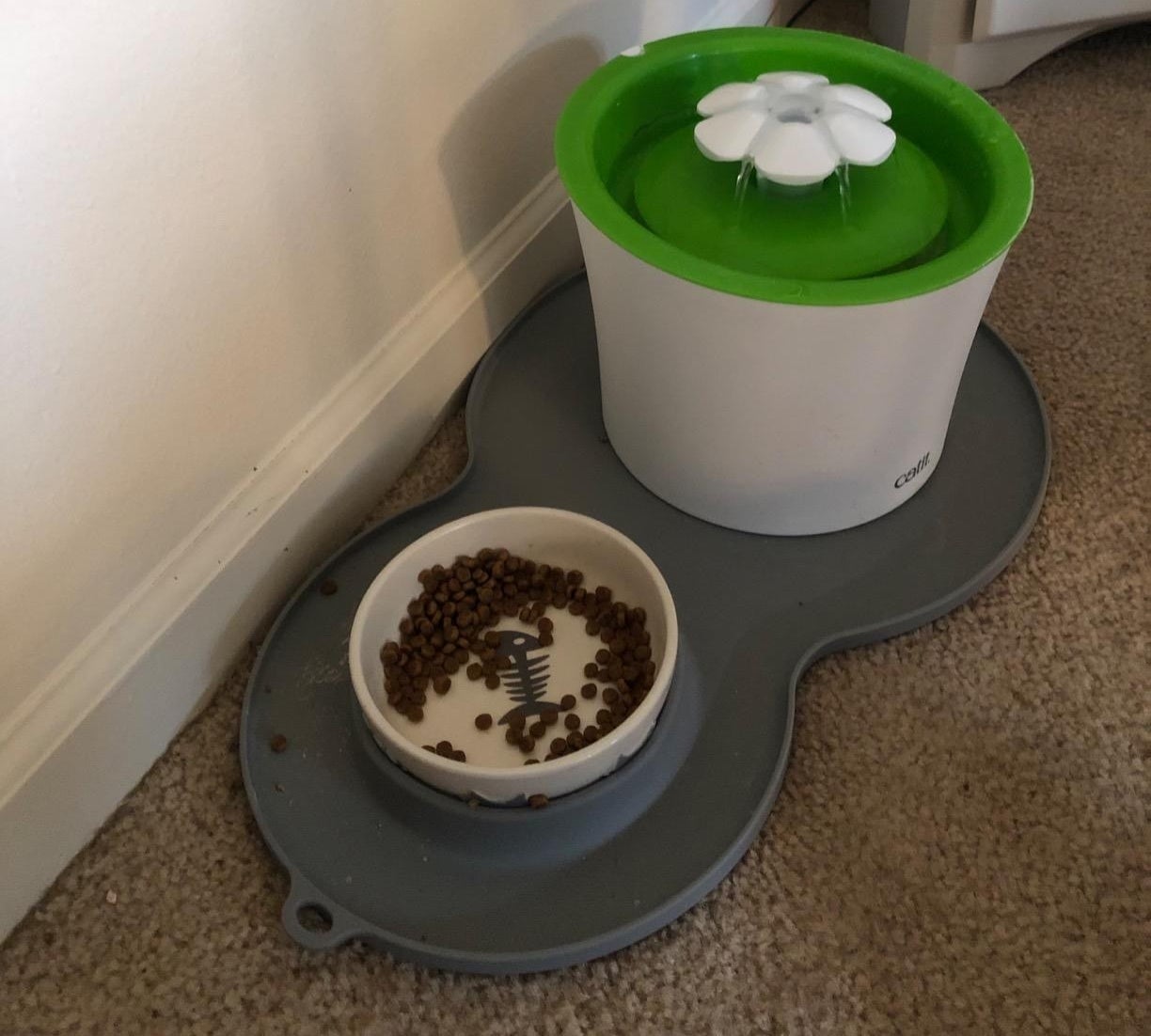 The peanut mat with food bowl and water fountain on top