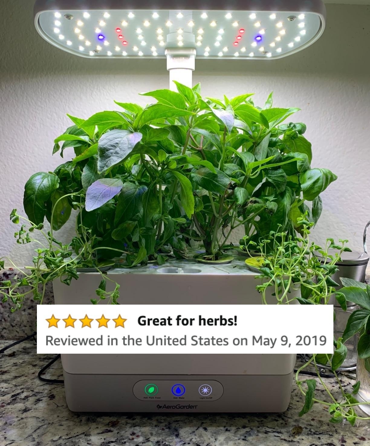 A reviewer&#x27;s photo of her garden and her five-star Amazon review which says &quot;Great for herbs!&quot;