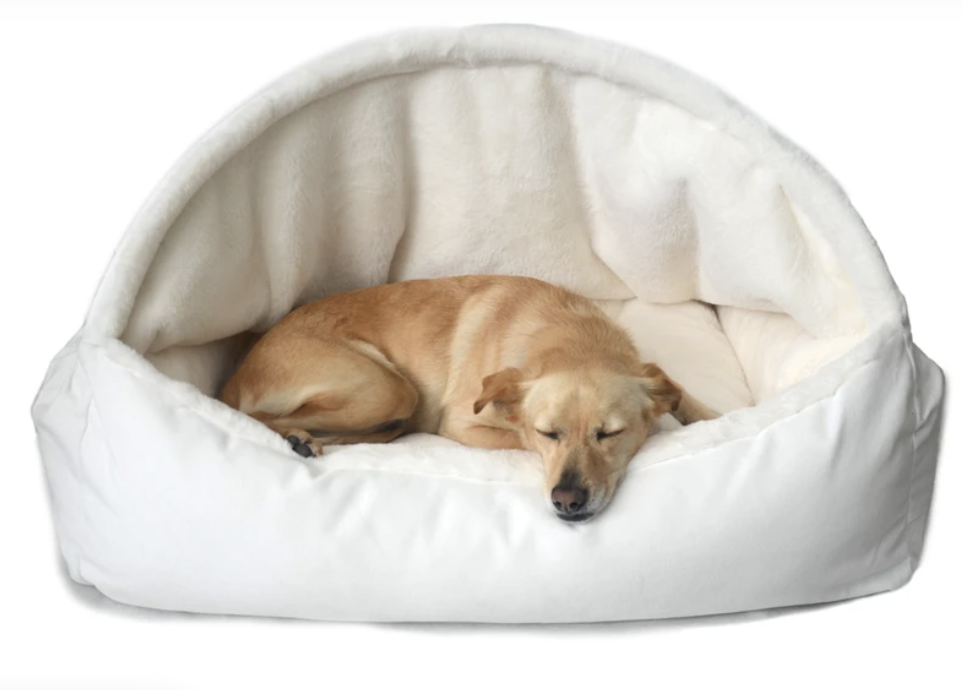 Canopy Dream fur dog bed