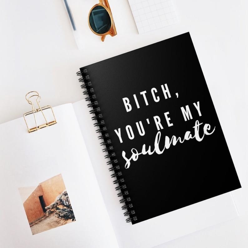 the bitch you&#x27;re my soulmate spriral notebook